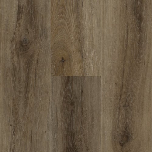 Rich Hickory