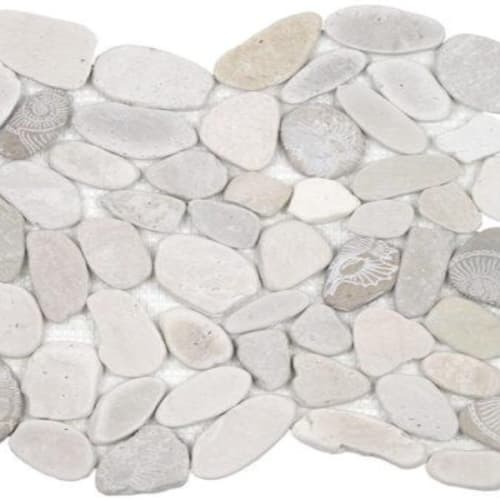 Fossil Lt Color