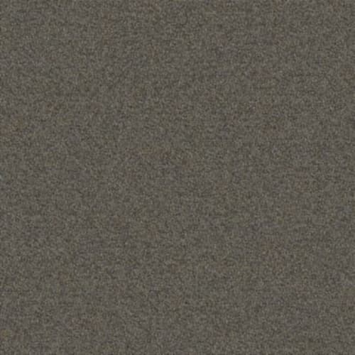 Scholarship II Tile by Aladdin Commercial - Camel