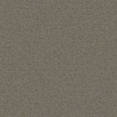 Birch Gray