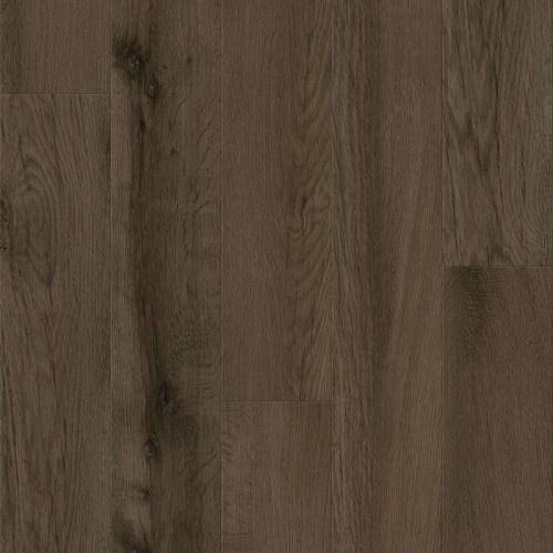 Bucolic Forest 9" X 60"