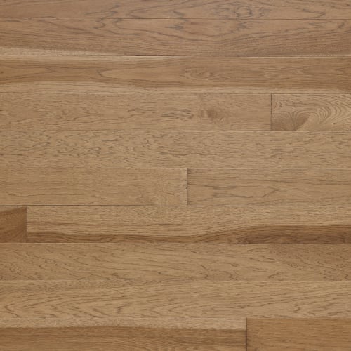 Sonora Um 5"
