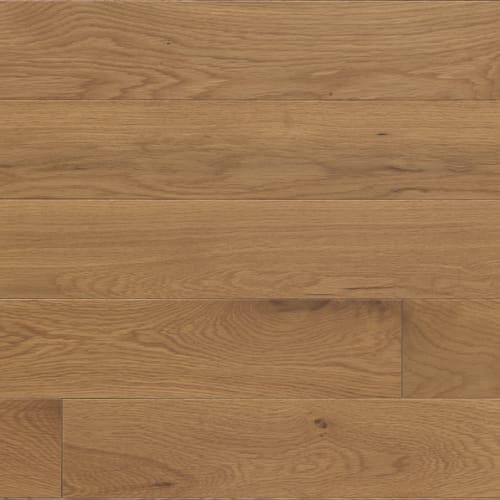 Chamomille Um 5"