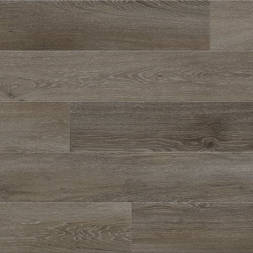 Eggplant Grey