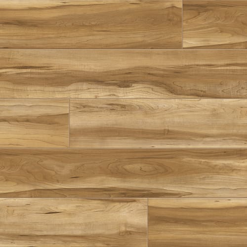 Sugar Wood Maple