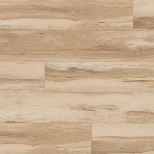Church Street Maple
