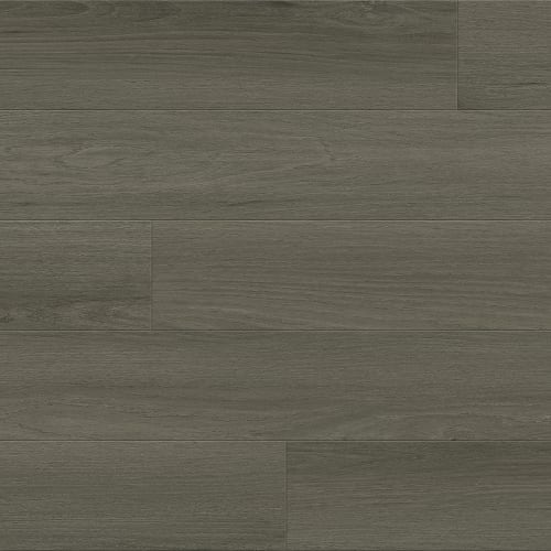 Tempered Grey