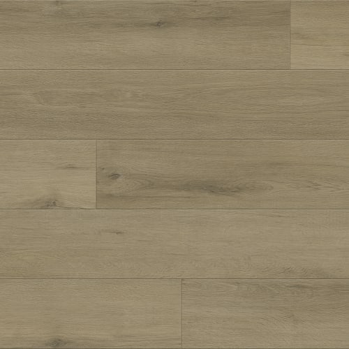 Dried Oak