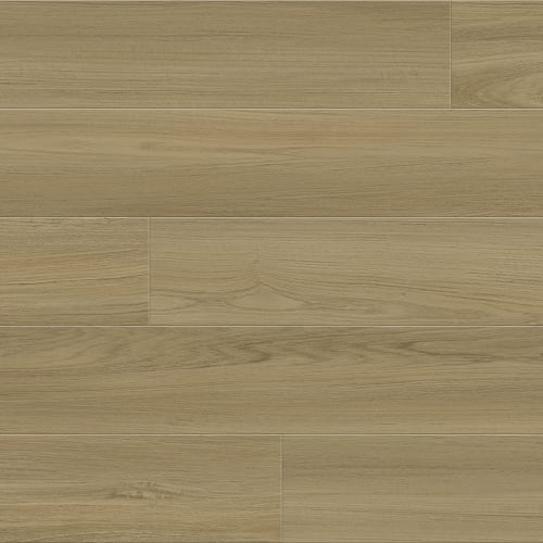 Bay Sand