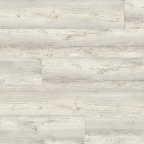 Driftwood Banyan