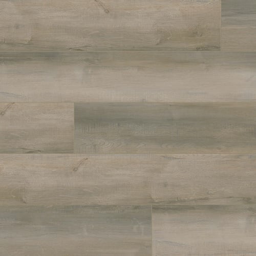 Lakeside Oak