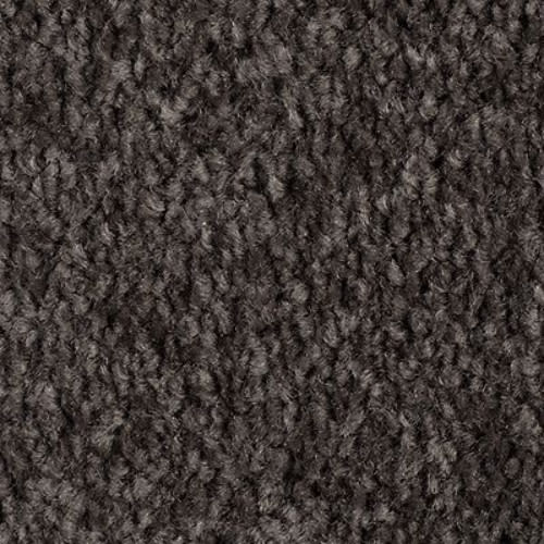 Meteorite