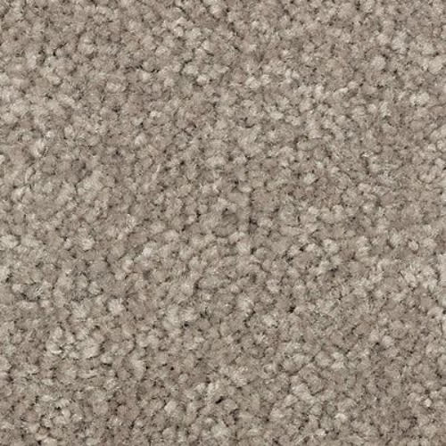 Tomorrow's Taupe