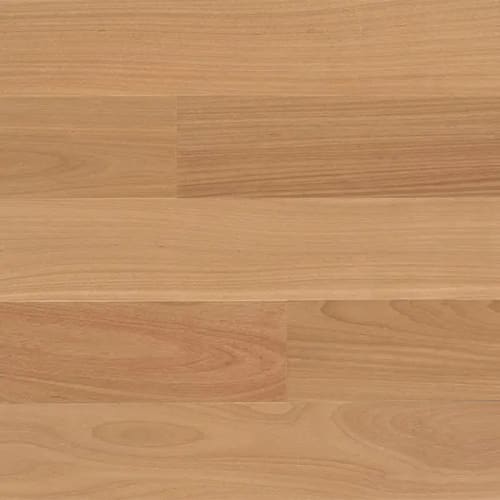 Capri Plank Brazilian Oak by Forest Accents - Stamford, CT - Classic ...