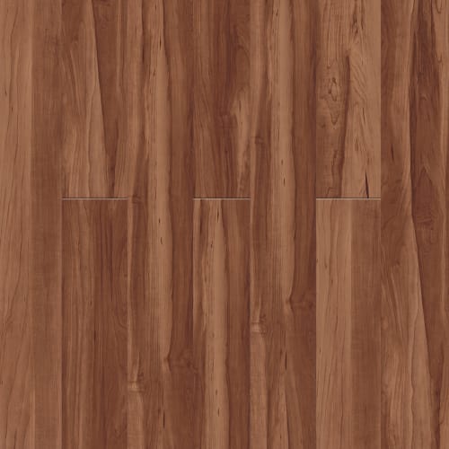Sugar Maple