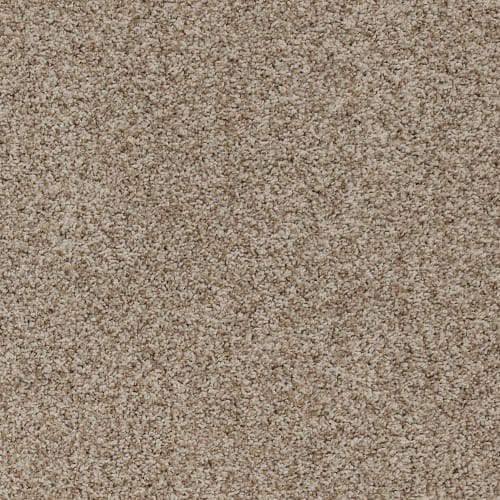 Winter Beige