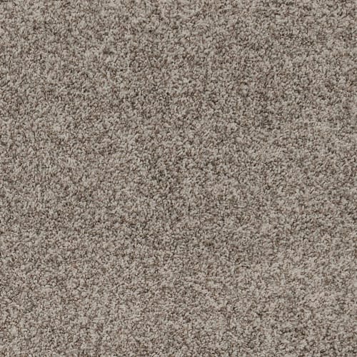 Sunlit Taupe