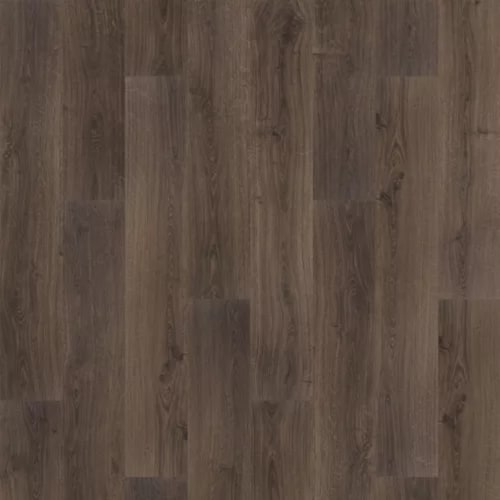 Overcast Oak