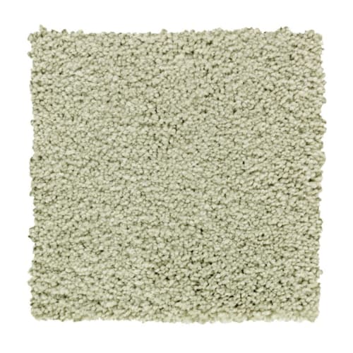 Sage Brush