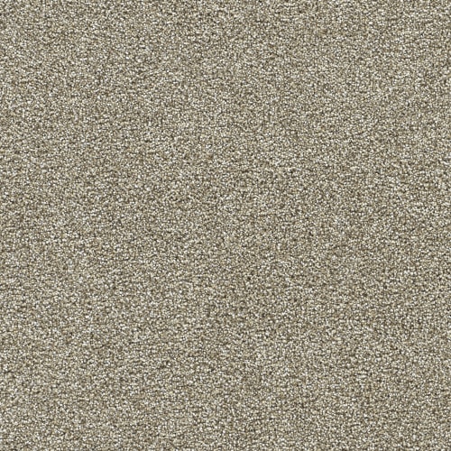 Pine Log