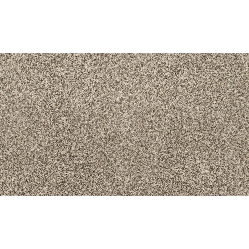 Purrsonality Ii Hazelnut by Mohawk Industries - Croydon, PA - Next