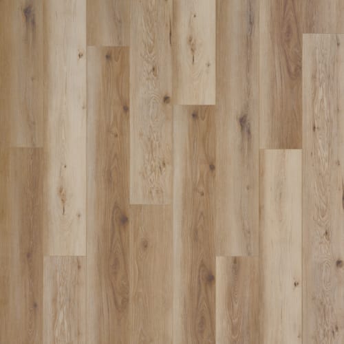 Rightwood by Norwood Hill - Camellia
