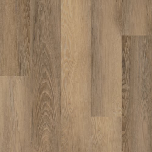 Brawley Chestnut