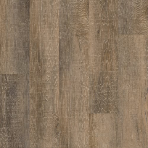 Laguna Beach Oak