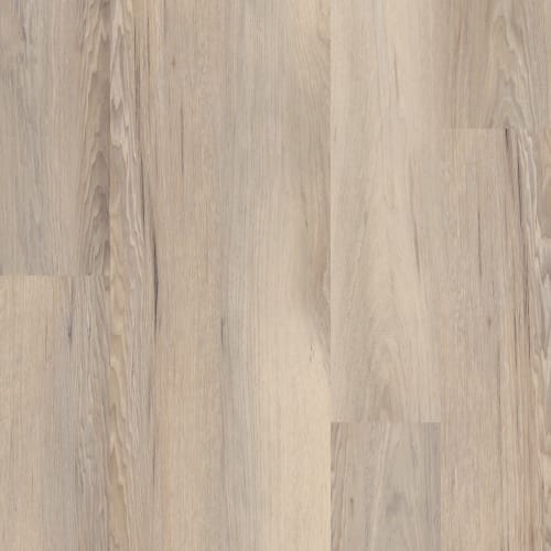 Venture Chestnut