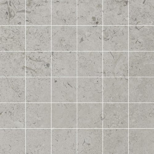 Perla 12 X 12