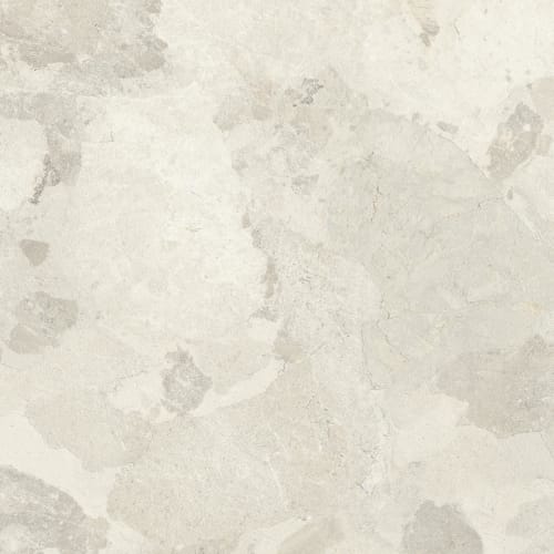 Almond 24 X 24