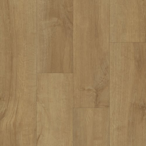 Sawdust Oak