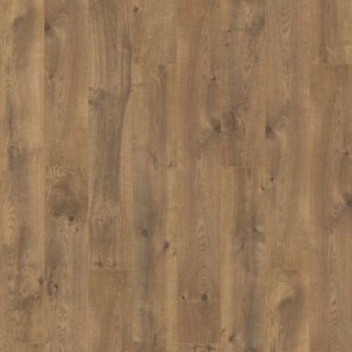 Mountain Oak