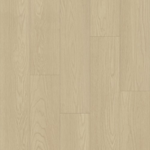 Oxford Oak