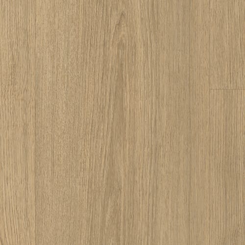 European Oak