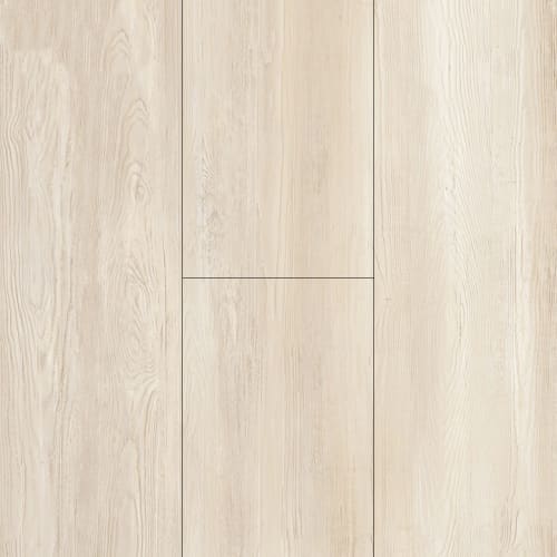 Birch
