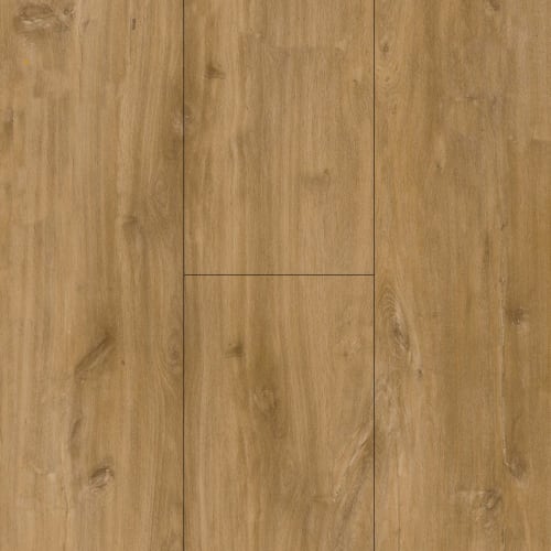 Chestnut