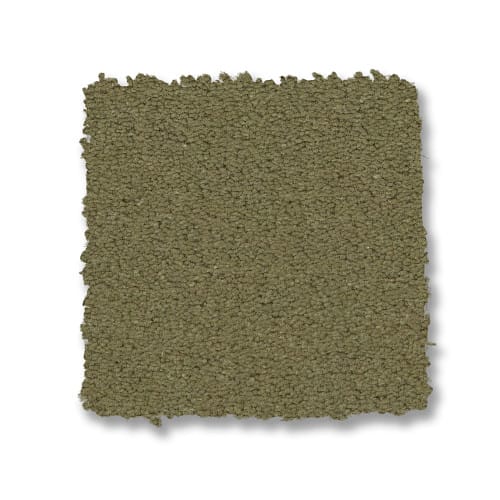 Tate Olive
