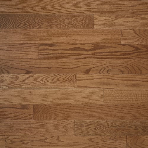 Abingdon 2.25" by Impressions Flooring - Golden - Premium