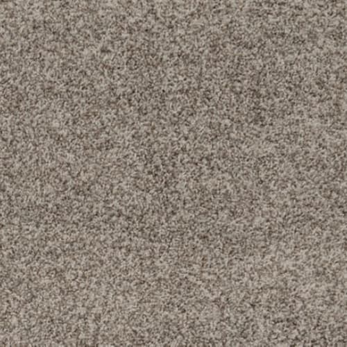 Sunlit Taupe