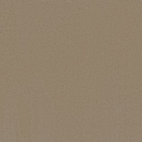 Stately Beige