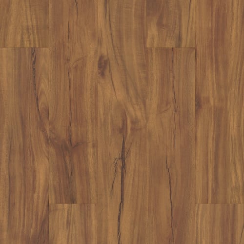 Gold Coast Acacia