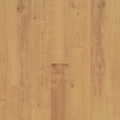 Norwegian Maple