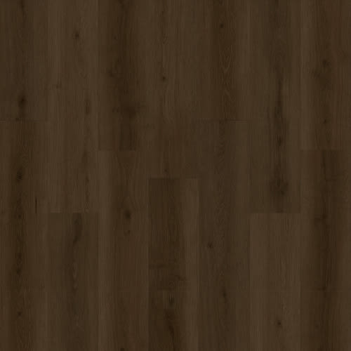 Mocha