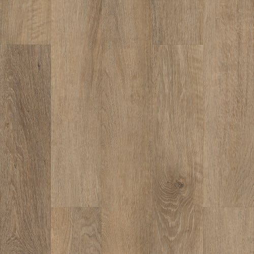 Brockport Oak