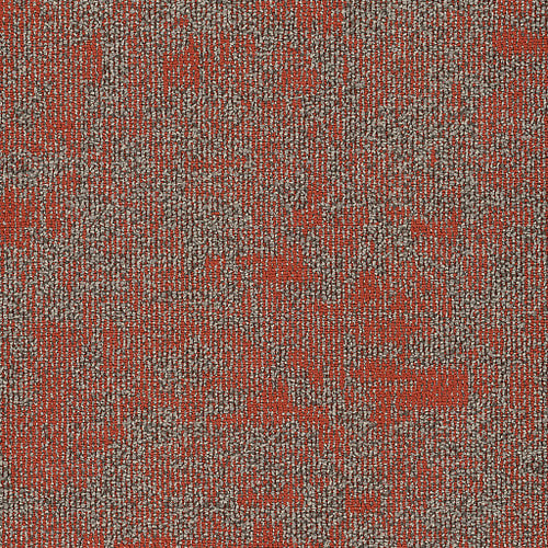 Miombo