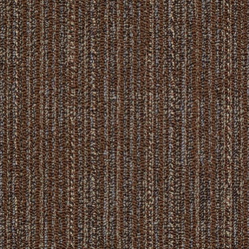 Clove
