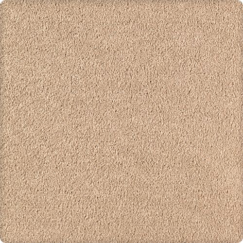 Contempo