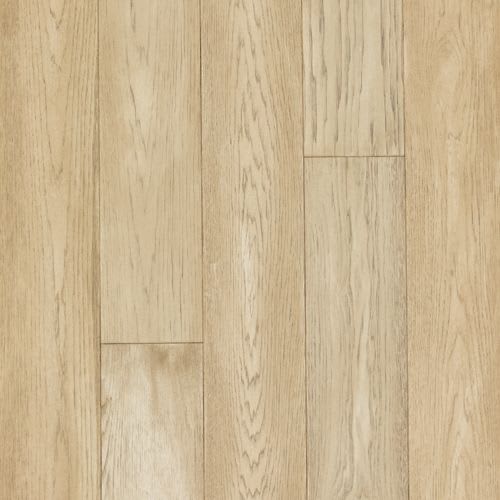 Sea Scrools Hickory
