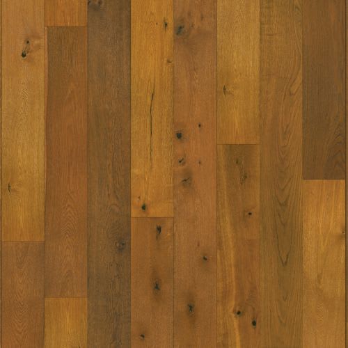 Topsail Oak